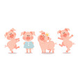 cartoon little piglets the year of the pig vector image