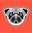 retro cute dog sad pug head vector image vector image