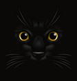 3d realistic yellow cats eye of a black cat vector image