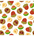 nuts seamless pattern flat cartoon design vector image vector image