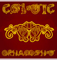celtic decorative ornament vector image vector image