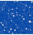 seamless pattern with stars and constellations vector image