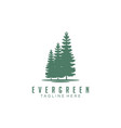 evergreen pines spruce cedar trees logo design vector image