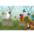 funny bird with deep forest landscape background vector image