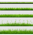 green grass borders big set vector image vector image