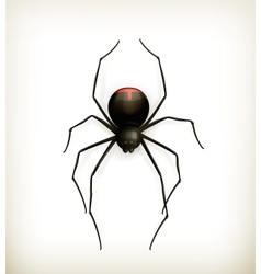 Spider image 3d realistic icon Royalty Free Vector Image