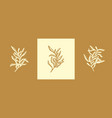floral branch and minimalist flowers for logo vector image vector image