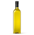 realistic olive oil bottle vector image