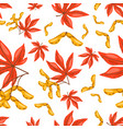 seamless pattern of maple leaves with seeds image vector image vector image