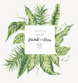 template card of green tropical leaves vector image vector image
