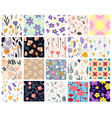 set flower seamlessfloral leaf botany vector image