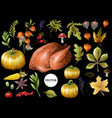 set of thanksgiving decor and food such as turkey vector image