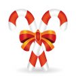 candy cane vector image