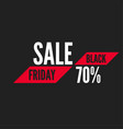 black friday sale vector image vector image