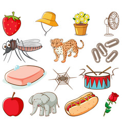 Large set different animals and other objects Vector Image