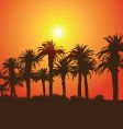 tropical sunset vector image vector image