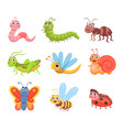 cute cartoon insects set vector image