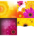 flower backgrounds set vector image vector image