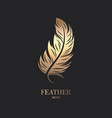 fluffy golden color feather logo icon vector image