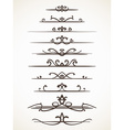 calligraphic line vector image