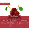 Healthy collection image vector image