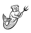 english bulldog mermaid with trident cartoon vector image vector image
