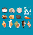 sea shells flat icons set vector image vector image