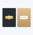 modern template for brochure leaflet vector image