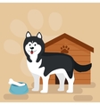 happy dog kennel house with bone and bowl of food vector image vector image