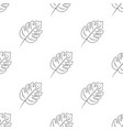 monstera seamless doodle pattern flat vector image