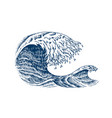 atlantic tidal waves vintage old engraved hand vector image vector image