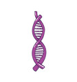 dna or deoxyribonucleic acid molecule carrying vector image