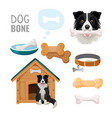 dog bone promotional poster of zoo market goods vector image