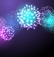 fireworks vector image