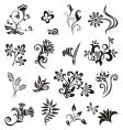 set of floral design elements vector image
