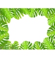 tropical leaf background vector image