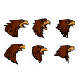 hawk heraldic mascot icons set vector image vector image