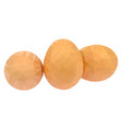chicken eggs polygonal vector image
