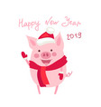 funny card design with cute cartoon pig vector image