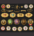 golden vip labels and badges collection vector image