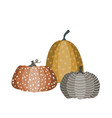 isolated composition with three pumpkin vector image vector image