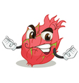 rambutan vector image vector image