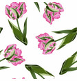 beautiful botanical pattern with tulip flowers vector image