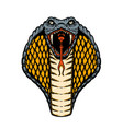 cobra snake design element for poster card banner vector image vector image