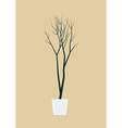 dead tree in pot vector image vector image