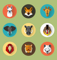 animal portraits with flat design vector image