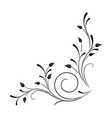 floral ornament vector image