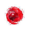 ripe raw cherry berry with fresh juice splash vector image