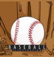 baseball glove and ball vector image