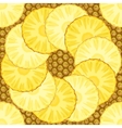 pineapple seamless pattern vector image